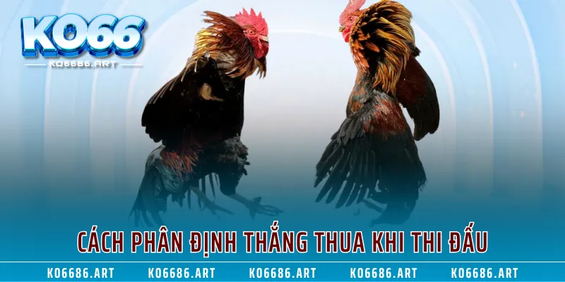 Cách phân định thắng thua khi thi đấu