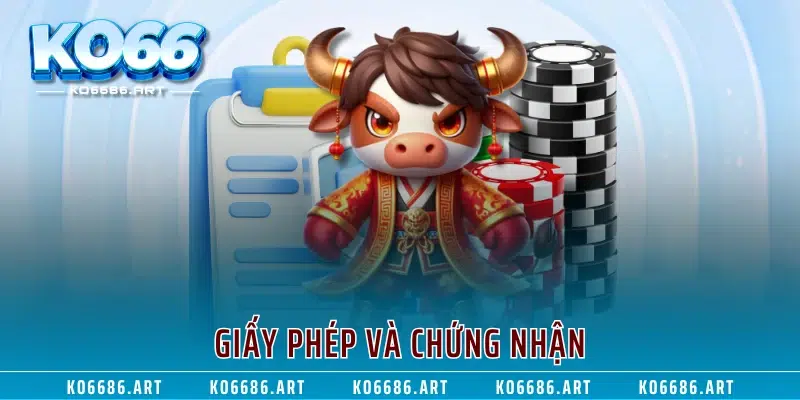 Giấy phép và chứng nhận