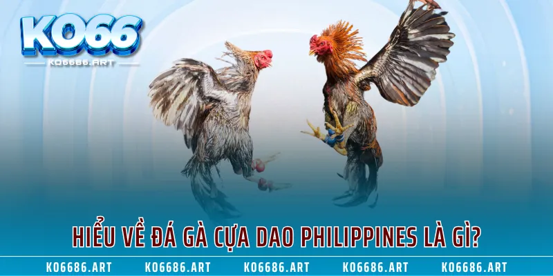 Hiểu về đá gà cựa dao Philippines là gì?