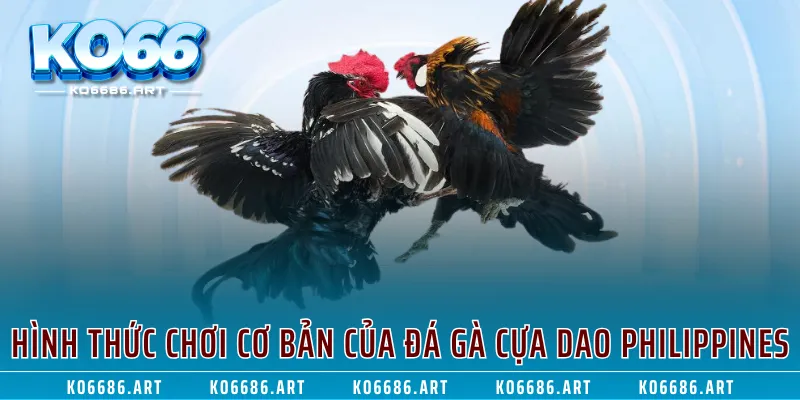 Hình thức chơi cơ bản của đá gà cựa dao Philippines