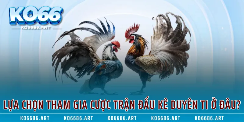 Lựa chọn tham gia cược trận đấu kê duyên ti ở đâu?