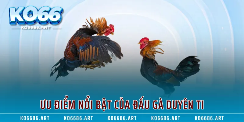 Ưu điểm nổi bật của đấu gà duyên ti