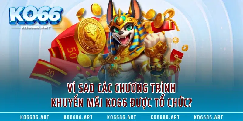 Vì sao các chương trình khuyến mãi KO66 được tổ chức?